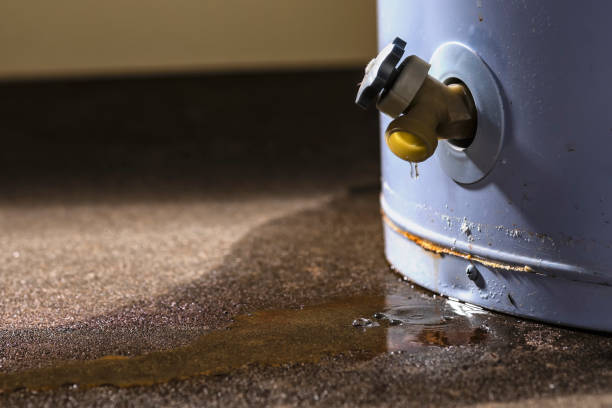 Best Water damage restoration near me  in Lakeview, GA