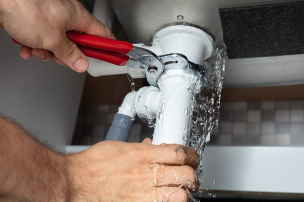 Best Mold removal after water damage  in Lakeview, GA
