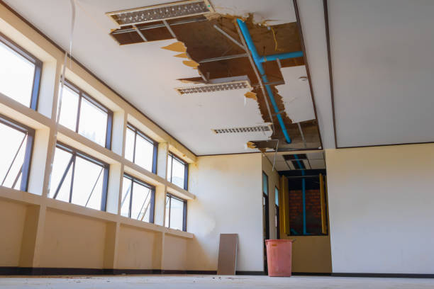 Best Flooded house restoration  in Lakeview, GA