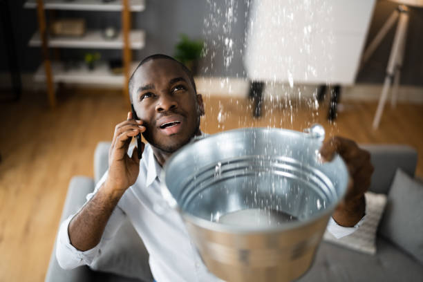Best Mold removal after water damage  in Lakeview, GA