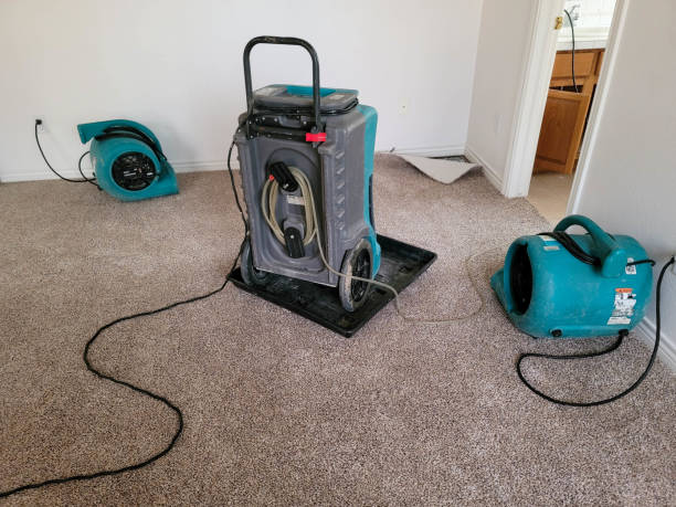 Best Water damage contractors near me  in Lakeview, GA