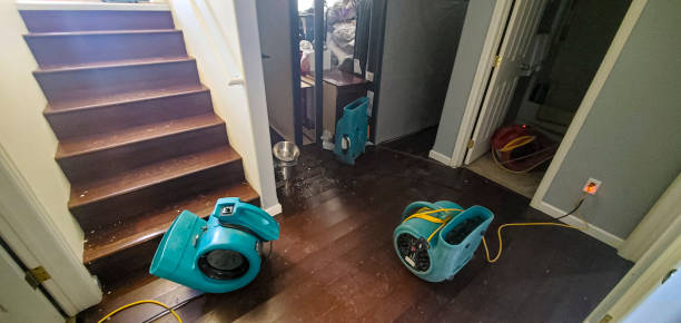 Best Water damage restoration mold remediation  in Lakeview, GA