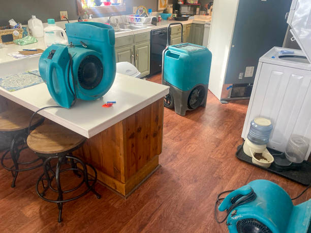 Best Local water damage restoration  in Lakeview, GA