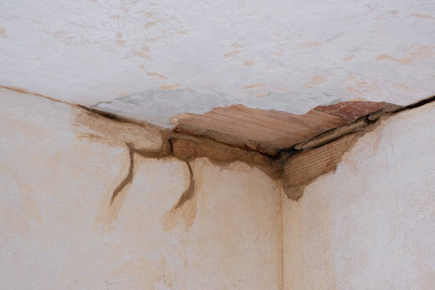 Best Flood damage cleanup  in Lakeview, GA