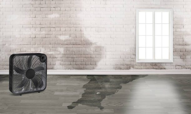 Best Emergency water damage restoration  in Lakeview, GA