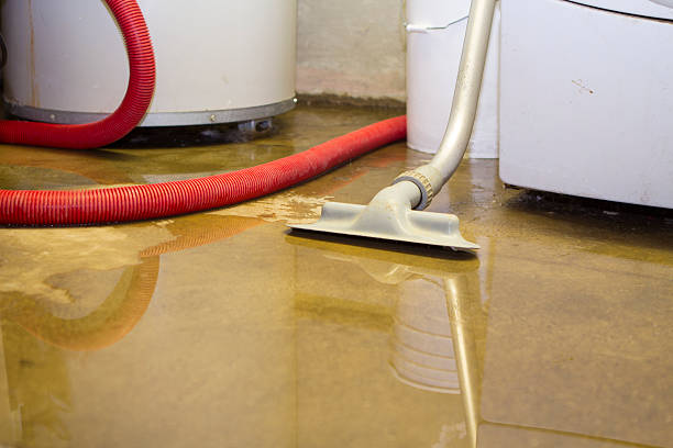 Best Sewage cleanup and water damage restoration  in Lakeview, GA