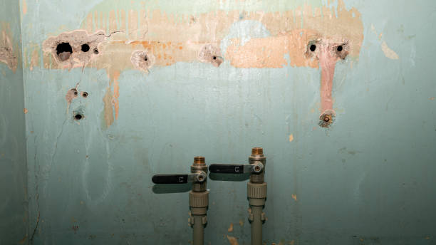 Best Water damage restoration near me  in Lakeview, GA