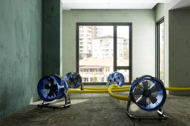 Best Ceiling water damage repair  in Lakeview, GA