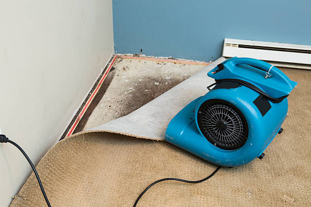 Best Professional water damage repair  in Lakeview, GA